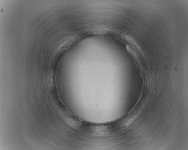 X0000062840501200601272020