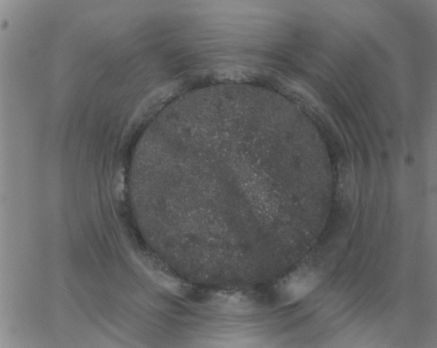 X0000062840502200601272020