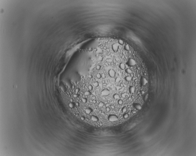 X0000062840503200601272020