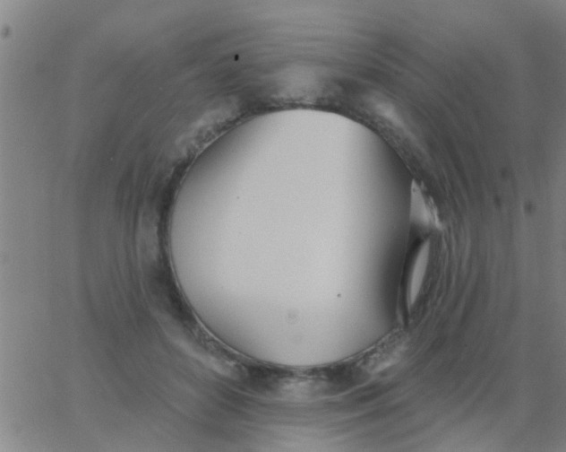 X0000062840504200601272020