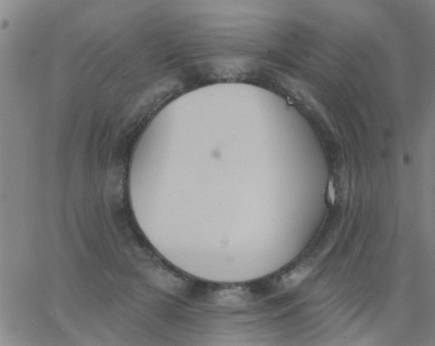 X0000062840505200601272020