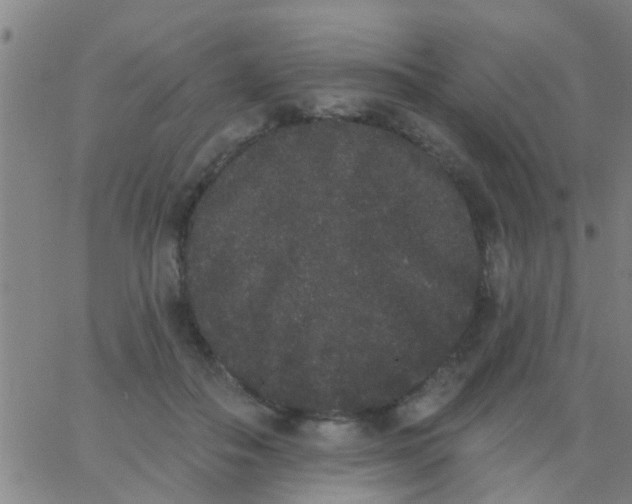 X0000062840506200601272019