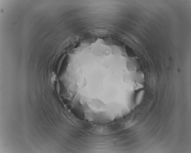 X0000062840507200601272019