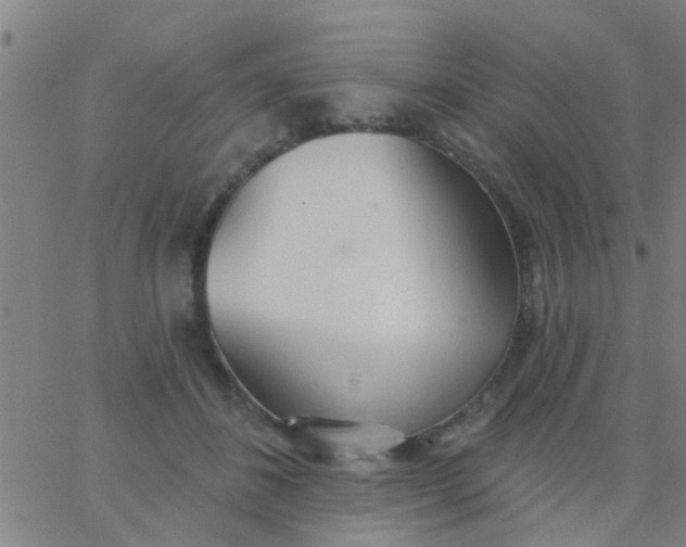 X0000062840508200601272019