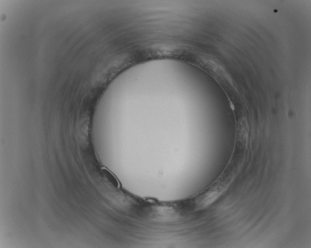 X0000062840509200601272019