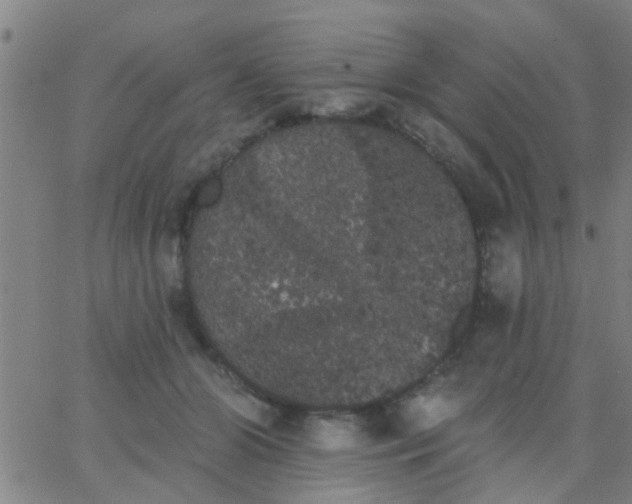 X0000062840510200601272019