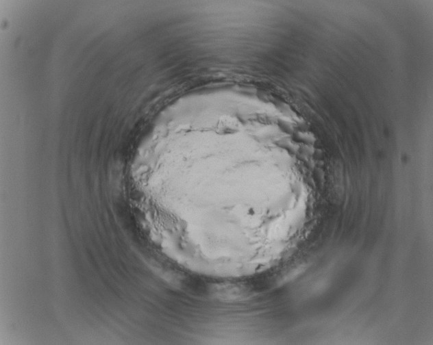 X0000062840511200601272019