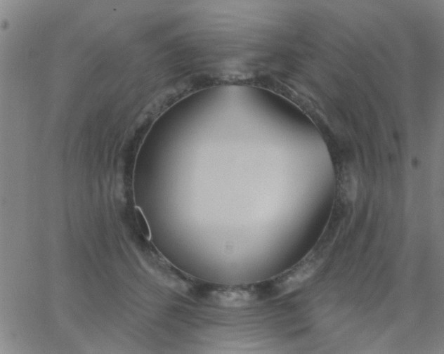 X0000062840512200601272019