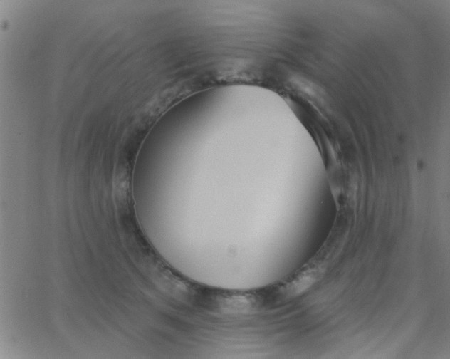 X0000062840513200601272019