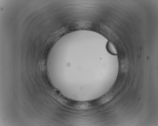 X0000062840514200601272019