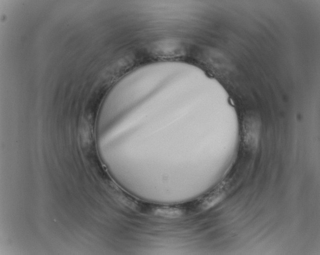 X0000062840515200601272019