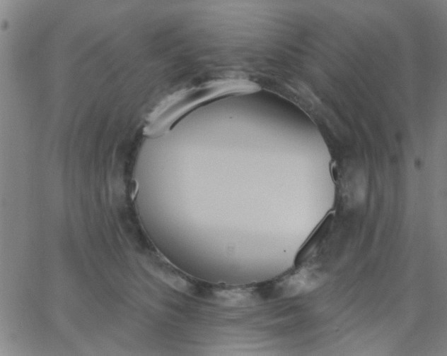 X0000062840516200601272019