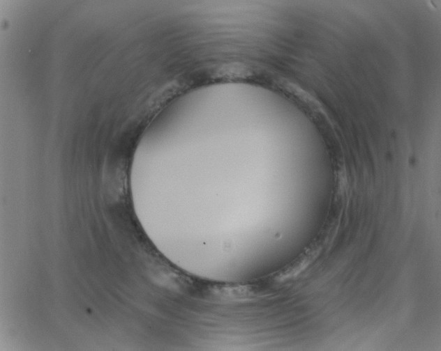 X0000062840517200601272019