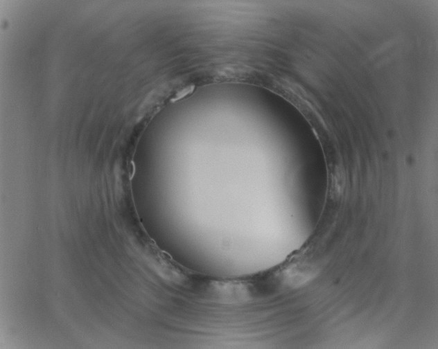 X0000062840520200601272019