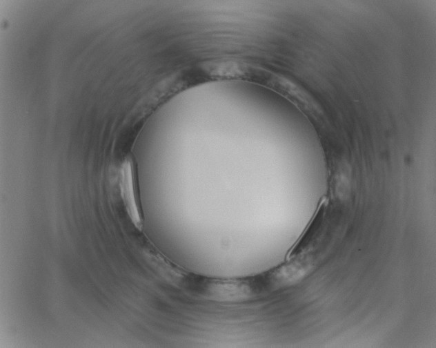 X0000062840521200601272019