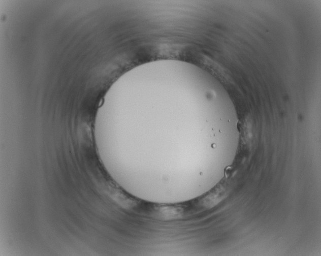 X0000062840522200601272019