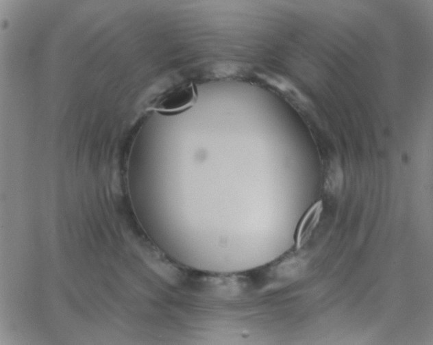 X0000062840524200601272019