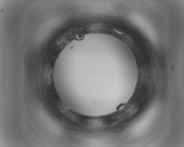 X0000062840525200601272019