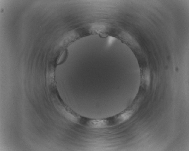 X0000062840526200601272019