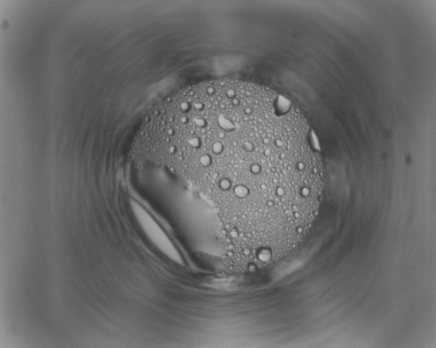 X0000062840527200601272019