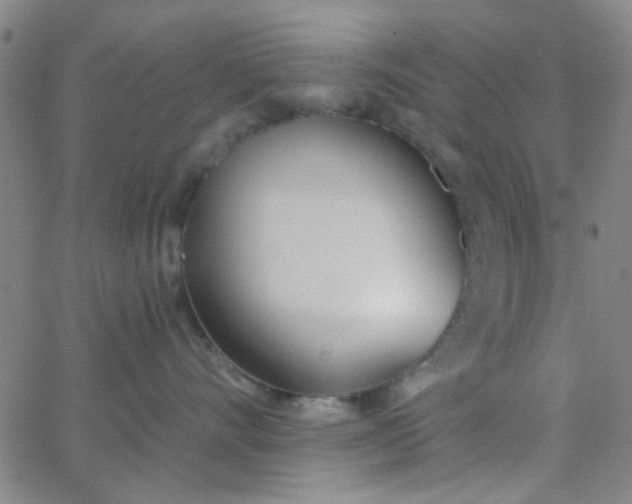 X0000062840528200601272019