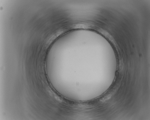 X0000062840529200601272018