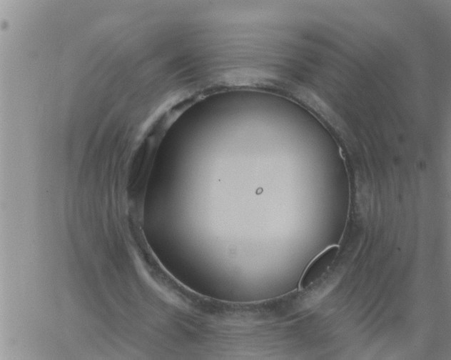 X0000062840530200601272018