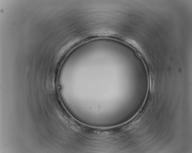 X0000062840531200601272018