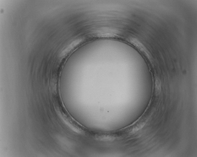 X0000062840533200601272018