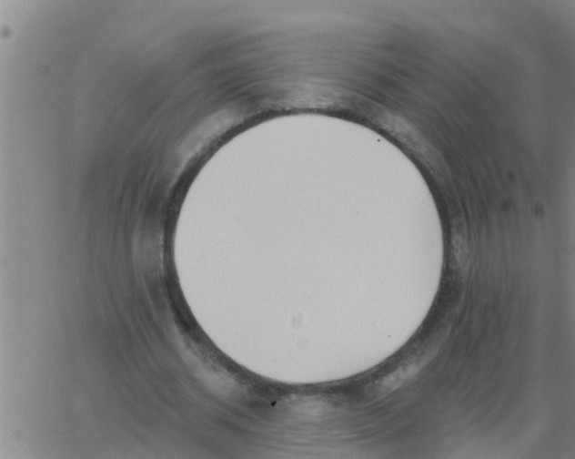 X0000062840534200601272018