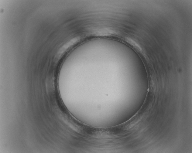 X0000062840535200601272018