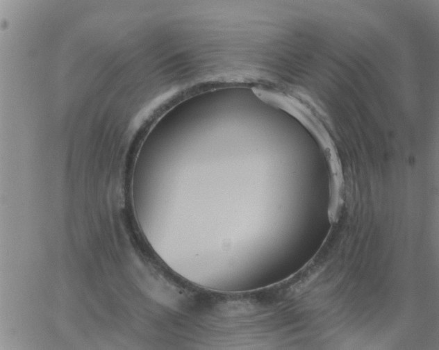 X0000062840536200601272018