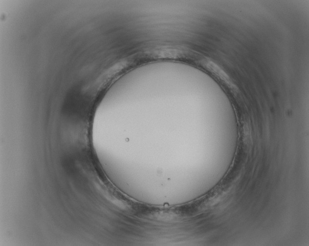 X0000062840537200601272018