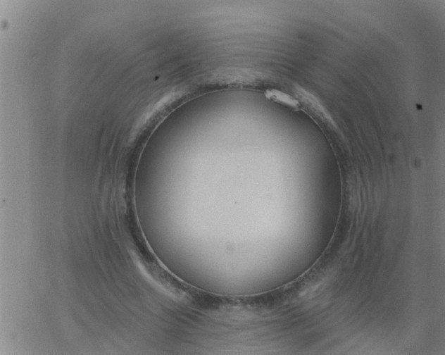 X0000062840538200601272019