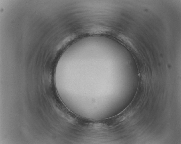 X0000062840539200601272019