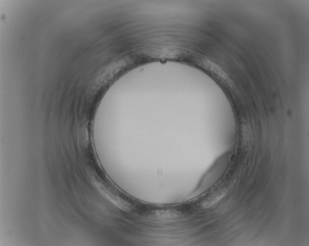 X0000062840541200601272019