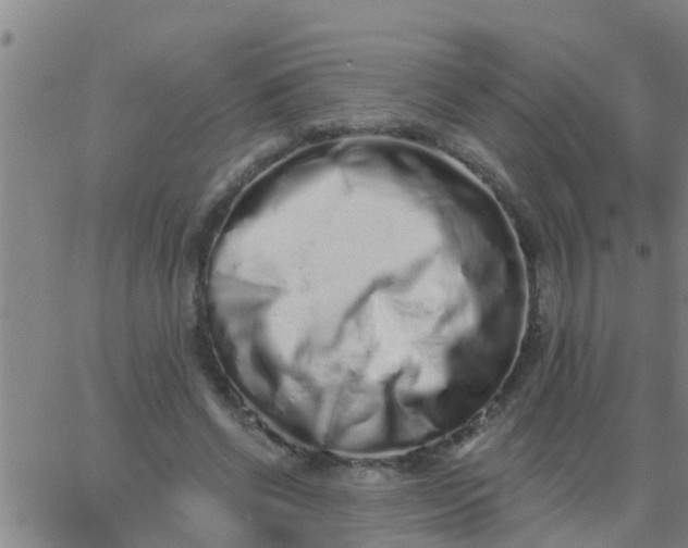 X0000062840542200601272019