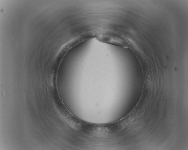 X0000062840543200601272019