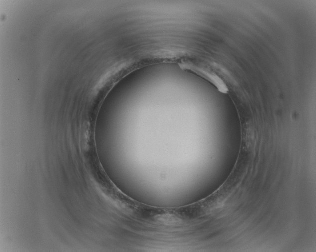 X0000062840544200601272019