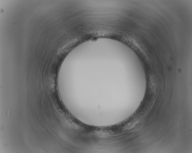 X0000062840545200601272019