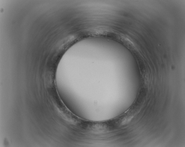 X0000062840546200601272019