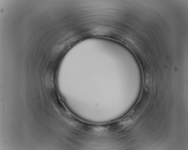 X0000062840547200601272019