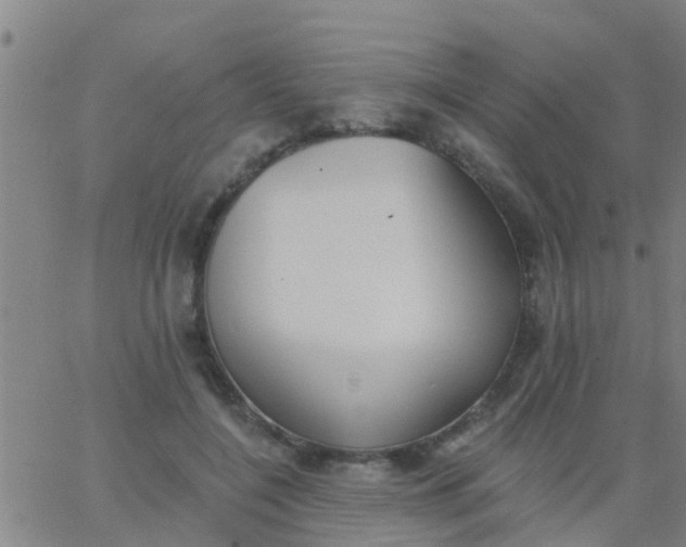 X0000062840548200601272019