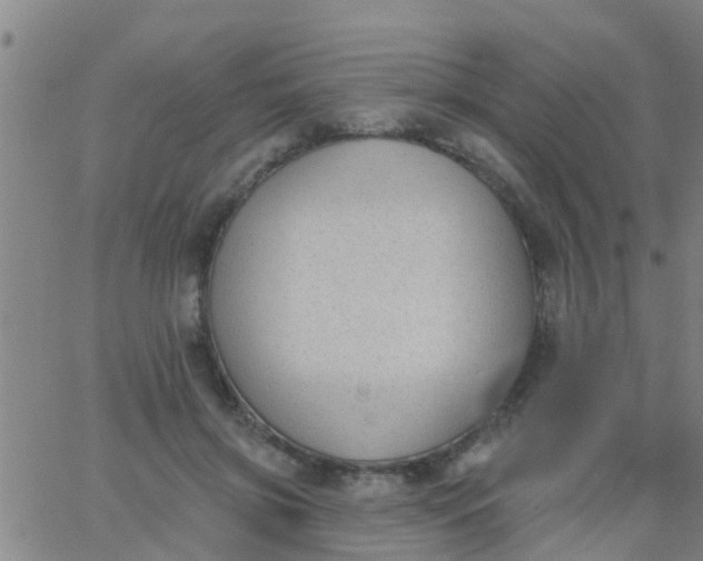 X0000062840549200601272019