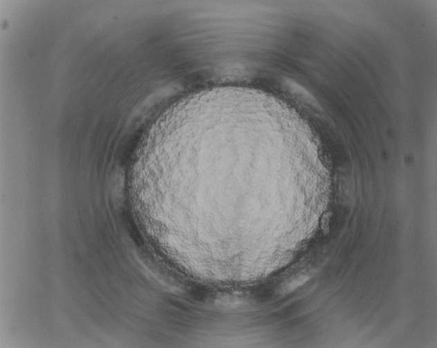 X0000062840550200601272019