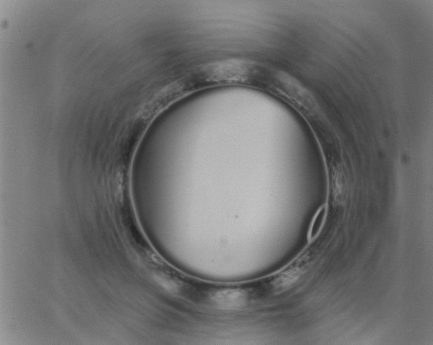 X0000062840551200601272019