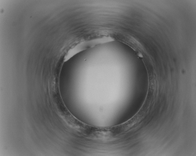 X0000062840552200601272019