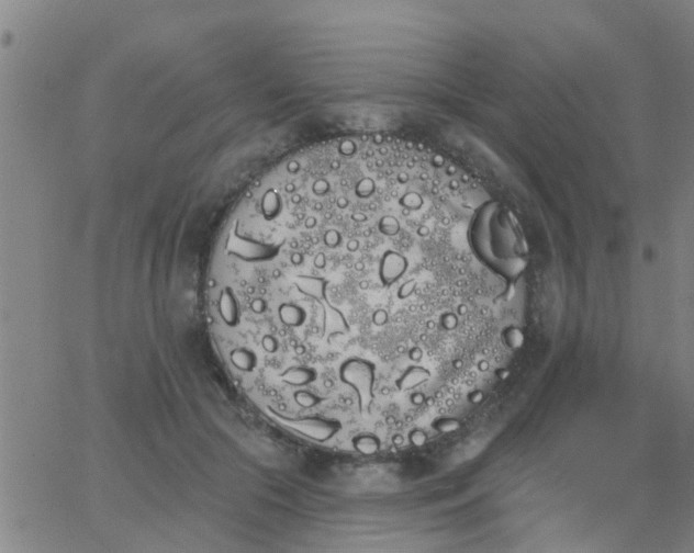 X0000062840553200601272019