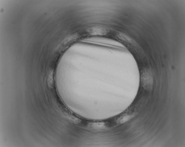 X0000062840554200601272019