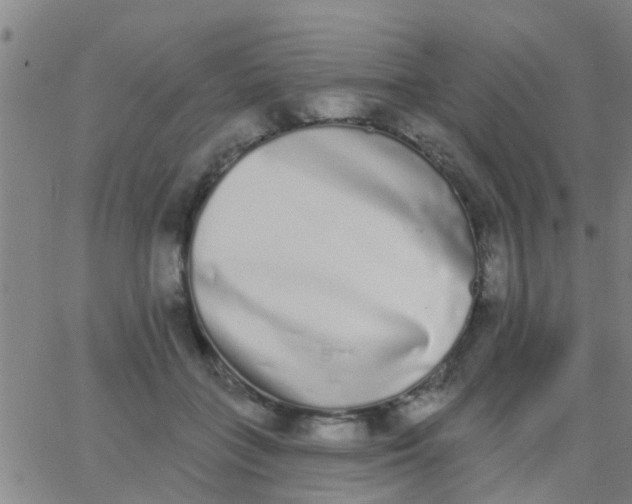 X0000062840555200601272019